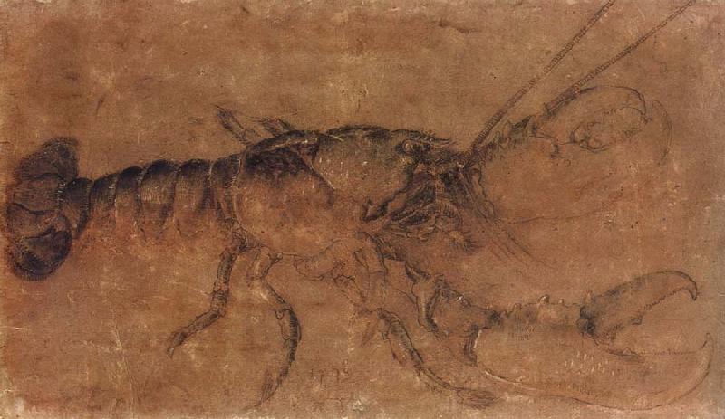 Albrecht Durer A Lobster oil painting picture